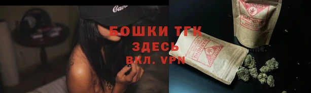 ешки Касимов