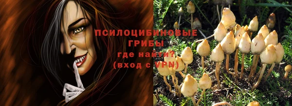 ешки Касимов
